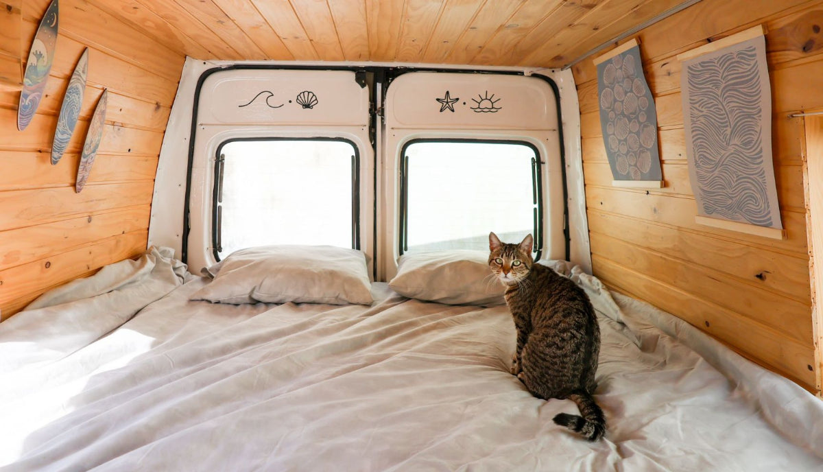 Ford Transit - Zita
