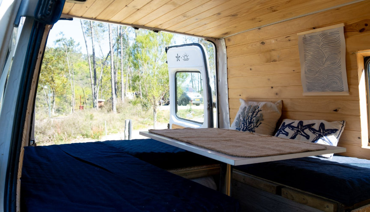 Ford Transit - Zita